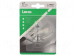 Filament lamp: automotive | PX26d | H7 | transparent | 24V | 70W | LLB
