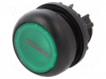 Switch: push-button | 22mm | Stabl.pos: 2 | green | M22-FLED,M22-LED