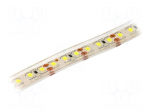 LED tape | white cold | 2835 | LED/m: 120 | 10mm | IP68 | 120&deg; | 6W/m | 12VDC