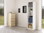 Topeshop R50 BIEL office bookcase