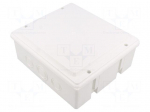 Enclosure: junction box | X: 170mm | Y: 190mm | Z: 80mm | wall mount