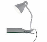 TRIO-Lighting Harvey clamping lamp E27 grey gaismeklis