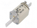 Fuse: fuse | 250A | 500VAC | gG | ceramic,industrial | NH2C | WT-NH