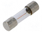 Fuse: fuse | 63mA | 250VAC | time-lag | cylindrical,glass | 5x20mm | S506