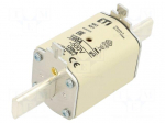 Fuse: fuse | 160A | 500VAC | gG | ceramic,industrial | NH1 | WT-NH