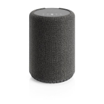 Audio Pro A10 MkII wireless Bluetooth speaker, Dark Grey