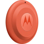 Motorola Moto Day 2 (Arabesque, 1-Pack)