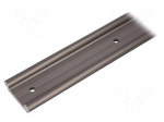 Double rail | aluminium | &Oslash;: 10mm | L: 500mm | W: 40mm | DryLin&reg; W