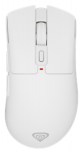 Genesis Zircon 880 White
