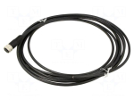 Cable: for sensors | PIN: 8 | M16 female straight | 5m | 32VDC | 32VAC