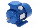 Motor: AC | 3-phase | 0.25kW | 230/400VAC | 1390rpm | IP54 | -30&divide;60&deg;C