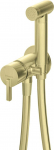 Concealed bidet mixer with bidetta shower head