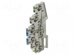 Splice terminal: rail | ST | spring clamp | grey | 31A | polyamide | TS35