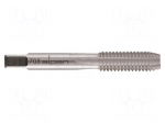 Tap | M8 | 1.25 | Holder: machine | high speed steel