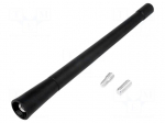 Antenna mast | 0.17m | M5,M6 | outside | Honda,Mercedes,Toyota,VW