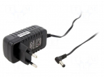 Power supply: switching | mains,plug-in | 12VDC | 1A | 12W | 83% | angled