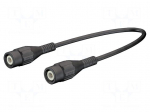 Test lead | BNC plug,both sides | Len: 2m | black | Z: 50&Omega; | brass