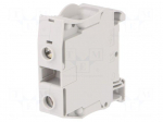 Splice terminal: rail | Entrelec | 1kV | for DIN rail mounting | grey