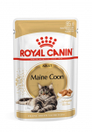 Royal Canin FBN Maine Coon - Cat wet food - sachet 12x 85g