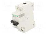 Circuit breaker | 230/400VAC | Inom: 100A | Poles: 1 | Charact: C | 10kA
