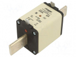 Fuse: fuse | 355A | 500VAC | gG | industrial | NH2