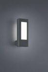 Trio Rhine LED sienas lampa anthracite  221660242 4017807291544