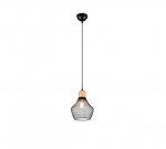 Trio-Lighting Valeria  18 cm E27 matt black piekaramā lampa