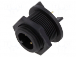 Connector: circular | socket | male | PIN: 2 | 250V | Buccaneer 400 | IP68