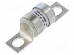Fuse: fuse | 30A | 250VAC | aR | ceramic,cylindrical,industrial