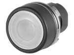 Switch: push-button | 22mm | Stabl.pos: 2 | white | IP65 | flat | 46 | Pos: 2