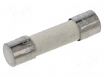 Fuse: fuse | 10A | 250VAC | time-lag | ceramic,cylindrical | 5x20mm