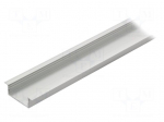 Profiles for LED modules | recessed | natural | L: 1m | aluminium