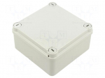 Enclosure: junction box | X: 109mm | Y: 109mm | Z: 58mm | wall mount