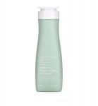 Daeng Gi Meo Ri Look At Hair Loss Minticcino Deep Cooling Treatment 500ml