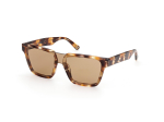 P&auml;ikeseprillid WEB EYEWEAR meestele WE0314-0041F (L&auml;&auml;ts/Sild/Taldrik) 00/0/145 mm)