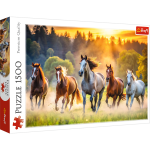 M&auml;nguala | PC | Konsoolid | Tarvikud // Harivad m&auml;nguasjad | Interaktiivsed | Loomingulised | Kunstilised // Puzzle - 1500 - Dzikie konie - Trefl 26215