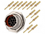 Connector: circular | Series: RT360 | socket,plug | male | crimped