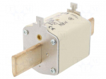 Fuse: fuse | quick blow | 315A | 500VAC | ceramic,industrial | NH2