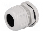 Cable gland | PG29 | IP68 | Mat: polyamide | light grey | UL94V-2