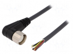 Connection lead | M23 | PIN: 19 | angled | 10m | plug | 150VAC | 8A | IP67
