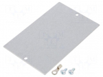 Mounting plate | steel