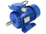 Motor: AC | 1-phase | 1.3kW | 230VAC | 1370rpm | 9.1Nm | IP54 | 9A | -15&divide;40&deg;C