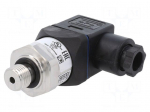 Converter: pressure | 0&divide;250bar | Usup: 14&divide;30VDC | relative pressure
