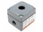 Enclosure: for remote controller | 30mm | IP66 | X: 91.9mm | Y: 101.6mm