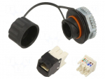 Connector: RJ45 | socket | PIN: 8 | Cat: 6 | unshielded | 8p8c | IP67