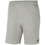 Nike Park 20 Short Men's Shorts Grey CW6910 063 L