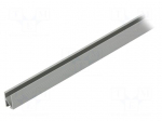 Profiles for LED modules | recessed | natural | L: 1m | aluminium