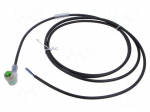 Cable: for sensors/automation | PIN: 4 | M12 female | angled | 2m | plug