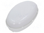 Lamp: lighting fixture | PANDA OVAL | polycarbonate | E27 | IP65