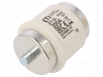 Fuse: fuse | gG | 200A | 500VAC | 500VDC | ceramic | DV | D